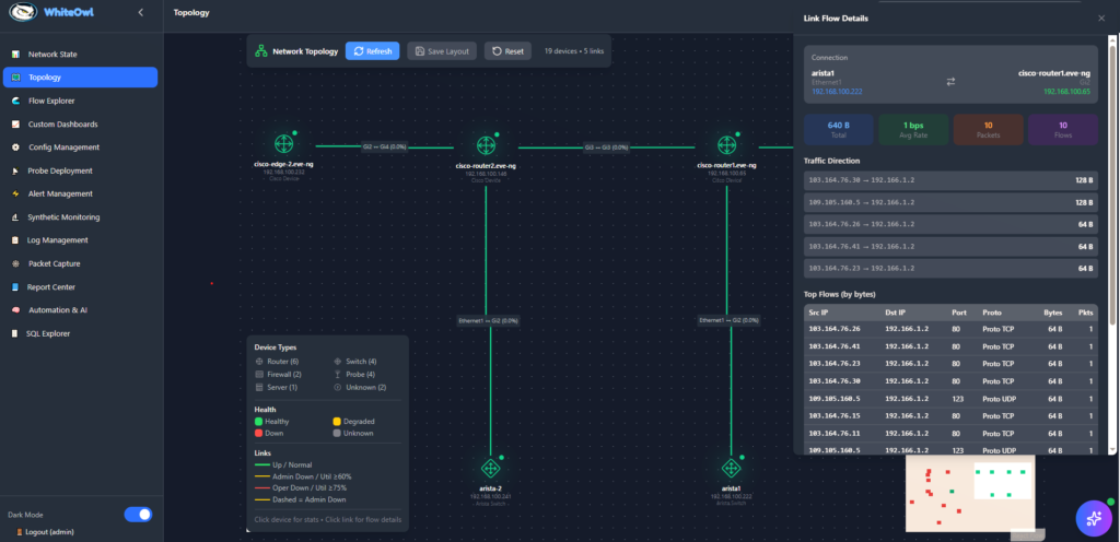 Visual showing network topology with drill down to flow details